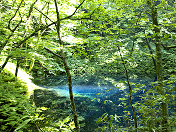 【悠閒時光】東北日本海與森林的對白８日（三大峽谷清津峽、日本海鐵道、白神山地世界自然遺產健行）