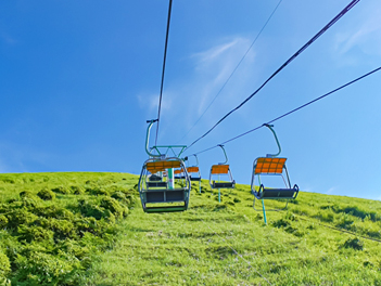 【悠閒時光】東京夏日熱海、森之伊豆、箱根名湯溫泉物語五日(大室山登山纜車、修善寺~竹林小徑、三島SKY WALK、雕刻之森、MOA美術館、隅田川遊船)