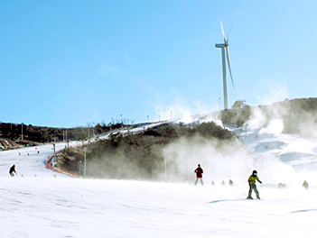 【漫天雪花釜山滑雪去】伊甸園滑雪場、LUGE渠道滑車+纜車、泰迪熊博物館、汗蒸幕、E WORLD五天（雪場渡假村１晚+五花麗水酒店１晚+釜山五花酒店１晚）《不走人蔘+保肝》【德威、真航、桃園出發】
