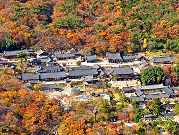 【威楓萬人迷釜山五星溫泉遊】梵魚寺、金剛公園、海景咖啡廳、金井山城、東萊溫泉SPA虛心廳五天《不走人蔘+保肝》（保住五星級農心溫泉酒店１晚）【德威航空、桃園出發】