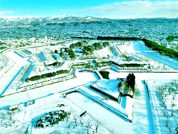 【元氣日本】雪地超值精選北海道溫泉五日遊(雪上活動四合一、尼克斯海洋公園、函館夜景、昭和熊牧場、小樽運河、大小沼公園)【星宇航空、台中/新千歲】