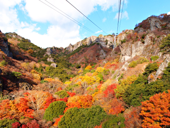【元氣日本】楓落四國五日遊～高松小豆島・別子礦山小火車・道後溫泉【星宇航空．台中直飛高松】