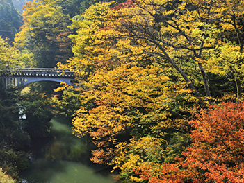 【精緻日本旅遊】北陸哆啦A夢電車 & 賞楓秘境、溪谷遊船名花之里點燈五日(庄川峽遊船、賞楓名所鶴仙溪、那谷寺、白川鄉合掌村、東茶屋街、兼六園)【星宇航空,台中/名古屋】