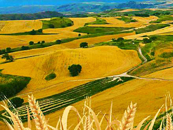 【遊遍中國自由行】北疆１３日～江布拉克麥田、喀納斯禾木村、雲霄峰索道、巴音布魯克－天山大峽谷、薰衣草莊園、天池（無購物、無自費）1+1VVIP雙排椅【南方航空】桃園出發