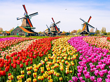 【魅力歐洲】法比荷～鬱金香花園、最愛羅浮宮、特色三遊船、運河風車城８日