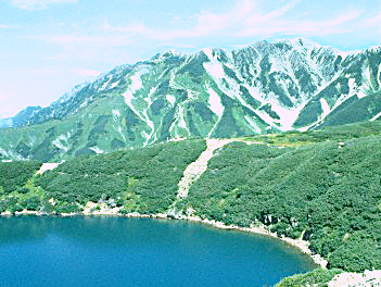 【精緻日本旅遊】東京輕井澤、富士山、川越小江戶五日(Laview新型列車體驗、角川武藏野、鳴澤冰穴、淺草觀音寺、螃蟹吃到飽)【星宇航空、酷航空】