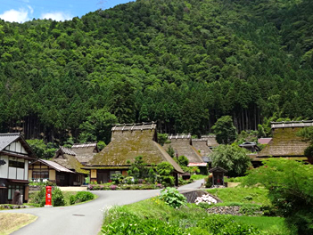 【元氣日本】丹後三絕賞櫻～天橋立．美山合掌村．伊根遊船．千本鳥居．宇治抹茶．和牛燒肉放題五日遊（奈良鹿公園．春日大社．大阪水上巴士）（星宇航空、台中直飛神戶）