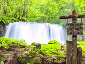 【東北歐嗨喲】夏綠東北~奧入瀨溪清流散策、秋田內陸鐵道山林旅情、弘前城五日遊【星宇航空,仙台進出】