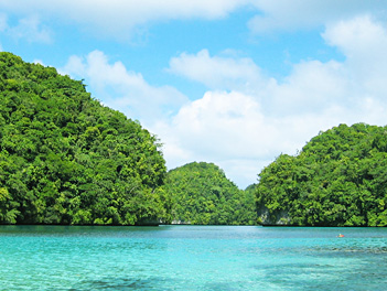 【湯姆旅遊】帛琉海陸玩透透、星光夜釣頂級五日 ( 2人成行 ) 機票自理