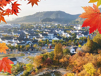 【遊遍中國自由行】秋楓杏韻江南～賞楓、賞銀杏、品蟹、三大名城湖州烏鎮水鄉上海六日（無購物無自費）【國航、南航、桃園出發】