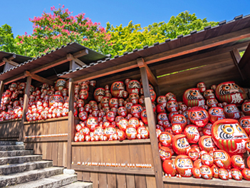 【元氣日本】丹後森海～須模離宮公園、箕面大瀑布、勝尾寺、天橋立、美山合掌村、伊根遊船、千本鳥居、宇治抹茶、和牛燒肉放題五日遊【星宇航空、台中直飛神戶】