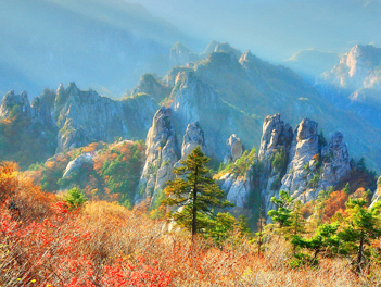 【五星威楓水噹噹】賞楓景點～雪嶽山國家公園、南怡島、德壽宮、首爾林、IG網紅打卡咖啡廳五天《不走人蔘+保肝》【德威航空、台中出發】