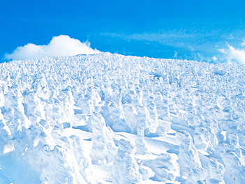 【精緻日本旅遊】東北天空雪怪之路、藏王樹冰、世界最大雪中藏王狐狸村、溫泉六日（保住三晚以上溫泉飯店）【國泰航空，桃園/成田】