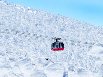 【東瀛假期】山形藏王樹冰、銀山溫泉、最上川雪見舟、採草莓五日（加茂水族館、山形鐵道、飯豐町戲雪）