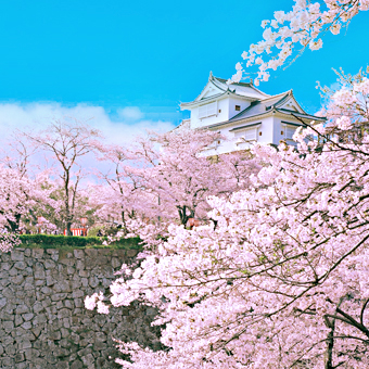 岡山縣 / 津山城