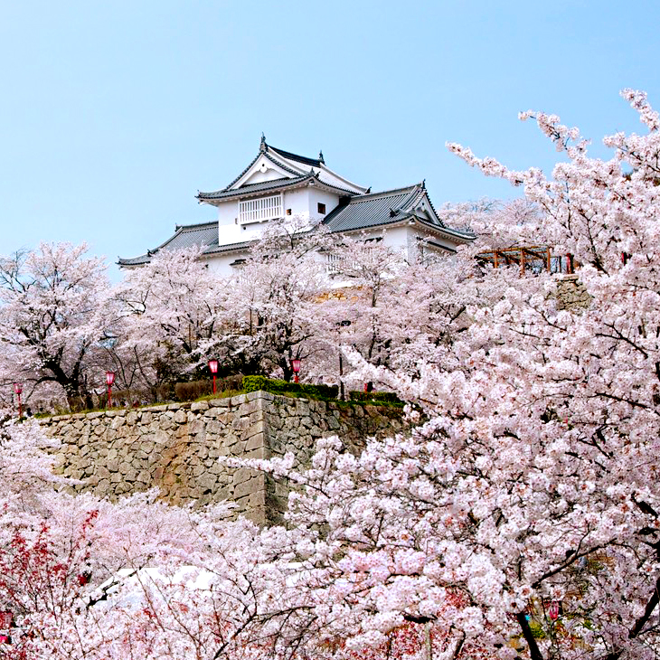 岡山縣 / 津山城