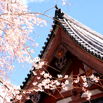 醍醐寺