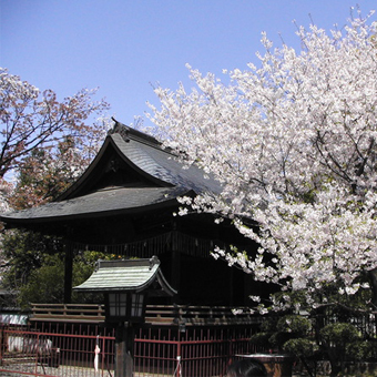 上野恩賜公園