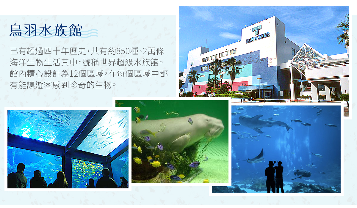 日本旅情 南紀浦島溫泉 鳥羽水族館 和歌山貓咪站長 名花之里冬彩燈五日 日本旅情 南紀浦島溫泉 鳥羽水族館 和歌山貓咪站長 名花之里冬彩燈五日