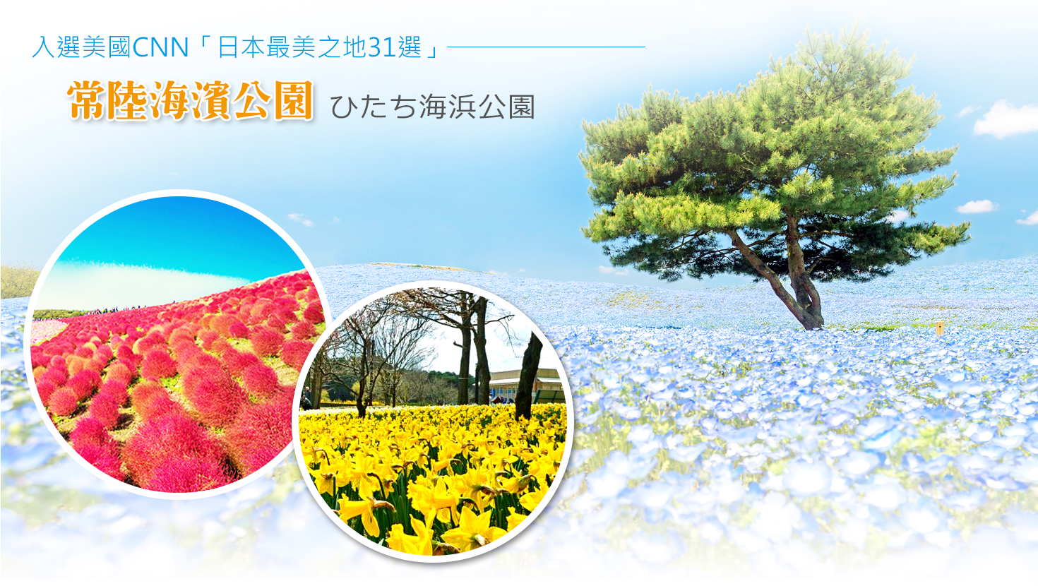 七福神 春戀東京 紫藤芝櫻五日 常陸海濱花海 日光東照宮 足利花卉公園 浪漫輕井澤